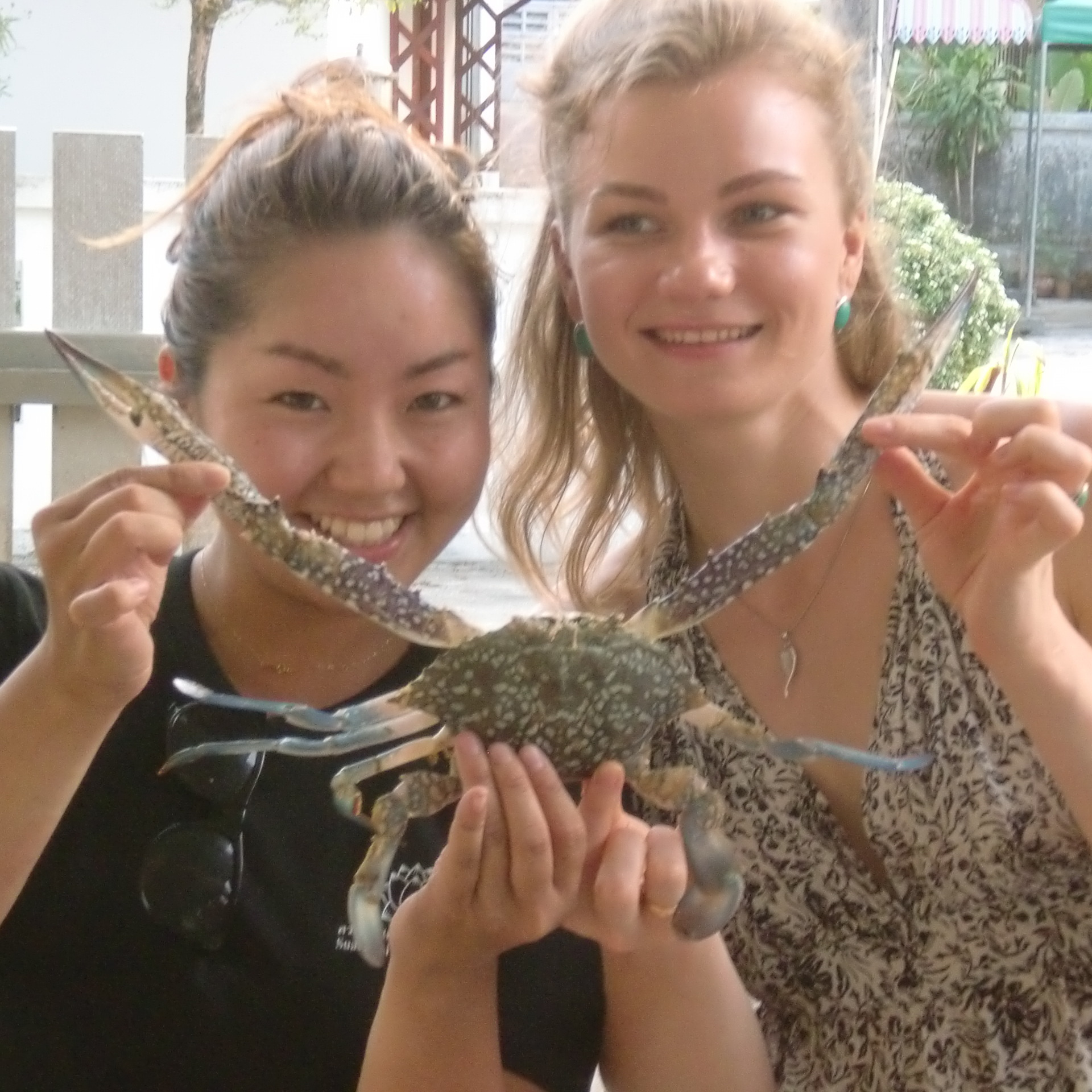 phuket crab