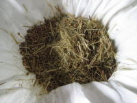 Inside of the Herbal Ball